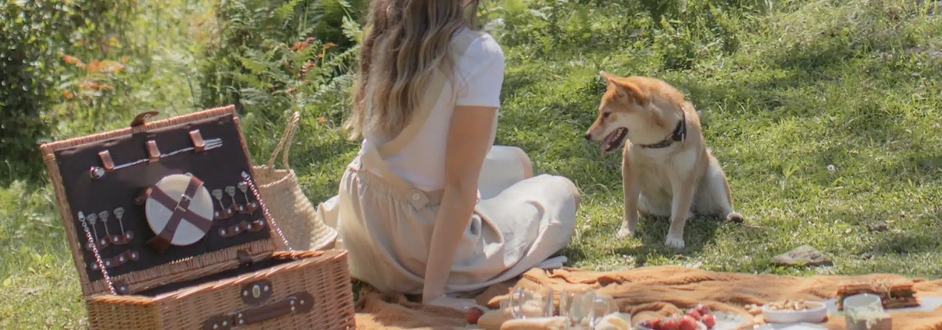 Picnic con mascota 1